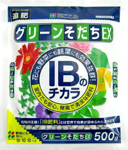 IB̃`J@O[EX@500g@Ԃ@ǔɍœKI