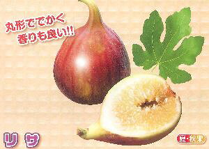 @c؁@TiW{C`WNjsʎct