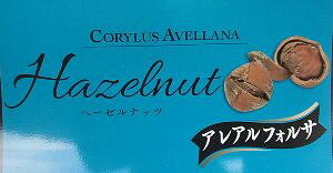 w[[ibciAAtHTj@c@c؁@ʎ@sʎct