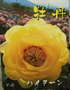 y6AzOc@nCk[@3Ni{^cAڂcj