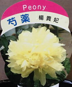 䉖iVNNj@kM܁@|bgA@@c