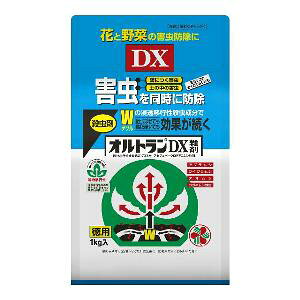 IgDX@܁@1kg@FZFw|