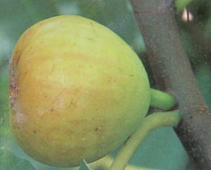 @c؁@zCg[mAiC`WNj@sʎct@ԉʁ@c