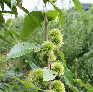 I@c؁@c@ˌIiOxIj5A@sʎct@Kǂ݂B