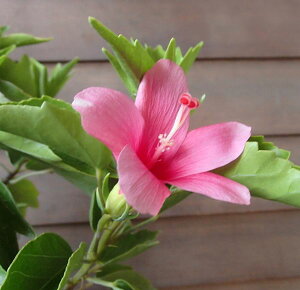 ynCrXJXzyAz@qnCrXJX@~jsN@c@c؁@yMѐAEgsJt[EnCAt[EnCrXJXz