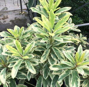 @PYn@@c؁@c@iPYtj@6A@