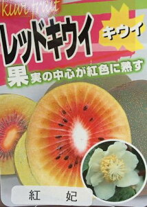 苗 キウイの人気商品 通販 価格比較 価格 Com