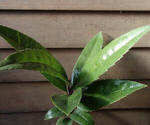 nKL̖؁itA^Ejc@c؁@t̖؁@