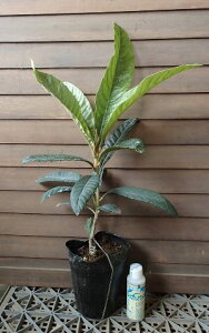 т@c؁@f@riΖ؁jsʎct