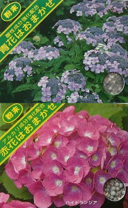 AWTCp엿@400g@izԂ̐p엿j