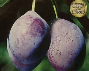 v[@c؁@W{v[iv[j@sʎct