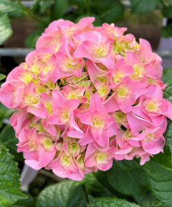 zԁ@c@AWTC@@I@zԁ@io^\@c؁@؁@@@yԖؒ؁EAWTCERzԁEz