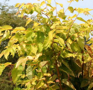 PL@t@ڂ؁@PL@@c@c؁@؁@|bgA