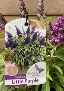 ubhA@ gp[v@io^tCLfB[V[Yj5|bg