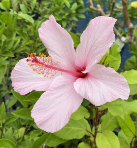 ynCrXJXzA[mbeBAkXEsNinj@c@c؁@@sNA[mbeBAkX@yMѐAEgsJt[EnCAt[EnCrXJXz*G߂ɂA