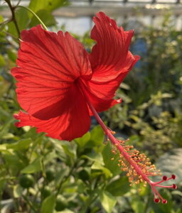 ynCrXJXz@bho^tC@c@c؁@*G߂ɂAtԂ̓Tvʐ^Ƒ傫قȂꍇ܂@yMѐAEgsJt[EnCAt[EnC