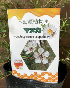 }kJ@A@}kJc[i}kJnj[j@4|bgA