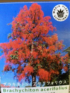 uLLg@AZtHEX@iSEVEAIMABˁj