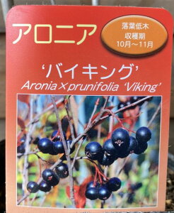 AjA@c@oCLO@`R[gx[i`Rx[jc@c؁sʎct