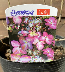 zԁ@c@gAizԁjyԖؒ؁EAWTCERzԁEz