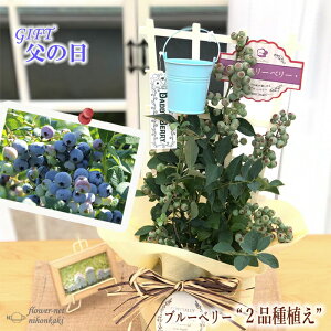 生花 ブルーベリーの人気商品 通販 価格比較 価格 Com