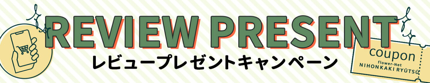 レビューキャンペーン