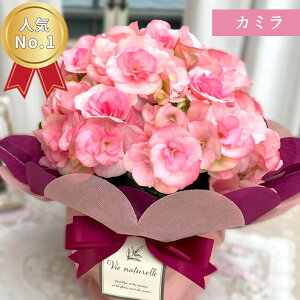 \̔ Iׂ [K[XxSjA 12F 4.5  bsOt Ε ~Mtg v[g A  G`I[xSjA 12{ȍ~