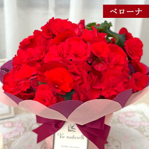 \̔ Iׂ [K[XxSjA 12F 4.5  bsOt Ε ~Mtg v[g A  G`I[xSjA 12{ȍ~