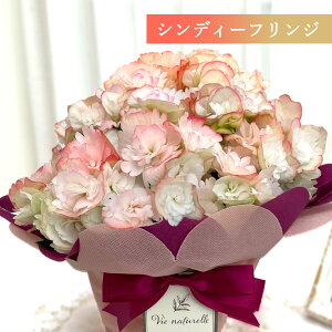 \̔ Iׂ [K[XxSjA 12F 4.5  bsOt Ε ~Mtg v[g A  G`I[xSjA 12{ȍ~