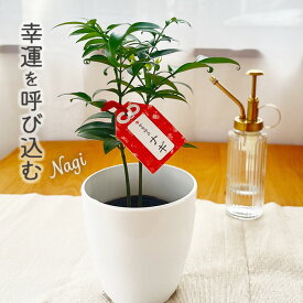 楽天市場 厄除け 花 ガーデン Diy の通販