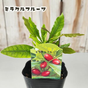 ~Nt[c c 9cm|bg  c ʎc