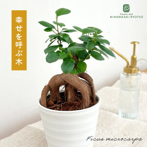 ϗtA KW} 4 ϗtA ^   蕨 v[g CeA  K^ł