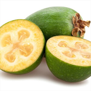�\��̔� �t�F�C�W���A �c �f���Y�`���C�X 12cm�|�b�g �������� �g���s�J���t���[�c �M�щʎ� ������ 2�N���c ��� �c�� �ʎ��c pwf 11����{�ȍ~����