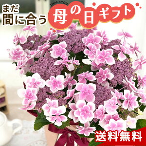 生花 サイコン Diy 工具の人気商品 通販 価格比較 価格 Com 生花 サイコン Diy 工具の人気商品 通販 価格比較 価格 Com