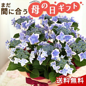 生花 サイコン Diy 工具の人気商品 通販 価格比較 価格 Com