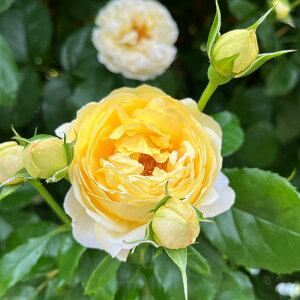 \̔ oc oc fo[ Vg[hDVxj[ io^o蒆 lG炫 KN ΂  F hao 2{ȍ~