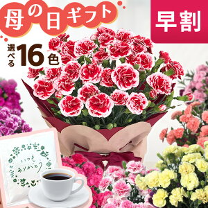 まだまだ間に合う母の日 ギフト 選べるカーネーション 16色 母の日 贈り物 プレゼント 花 鉢植え 5号鉢 送料無料 母の日2021