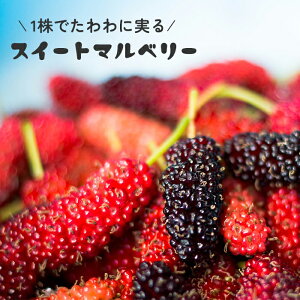 �X�C�[�g�}���x���[ 10.5cm�|�b�g �K�̎� �N���̎� �K �N�� �c �c�� �ʎ��c