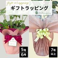 資 ギフトラッピング 包装 ギフト