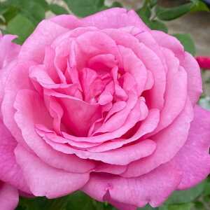 \̔ oc oc ^^E fBW? io^o蒆 KN ΂  o c sN kso 2{ȍ~