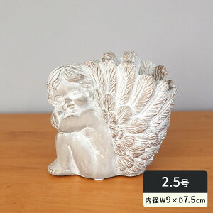 �� �A�ؔ� ER60WH �A���Q���X�|�b�gB L �z���C�g�S�[���h 2.5�� �ꌊ���� ������� �A���e�B�[�N�� �Z�����g dlk