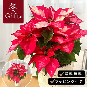 \̔ |CZ`A ACXp` 5  bsOt [tHrA |CZ`A Ε ~Mtg v[g A  11{ȍ~