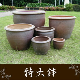 最も共有された 鉢 特大