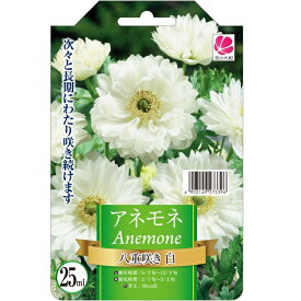 楽天市場 アネモネ 八重咲きの通販