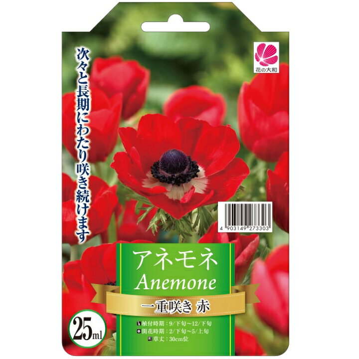 楽天市場 予約販売 花の大和 球根 アネモネ 色別 一重咲き 赤 35ml 8月中旬以降発送 フラワーネット 日本花キ流通