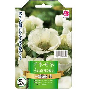 球根 花 白の人気商品 通販 価格比較 価格 Com