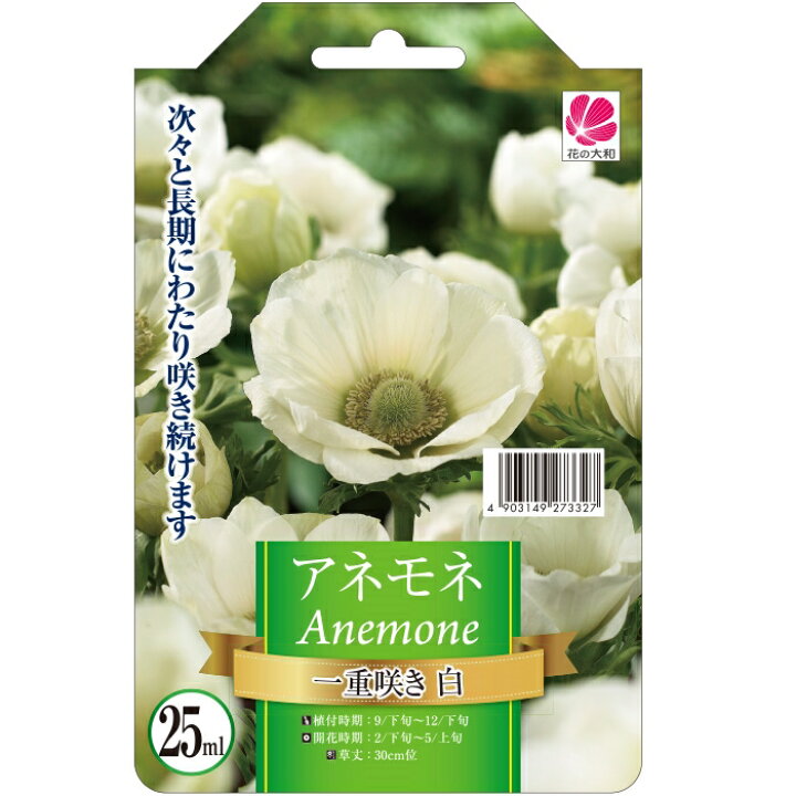楽天市場 花の大和 球根 アネモネ 色別 一重咲き 白 35ml フラワーネット 日本花キ流通