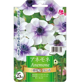 楽天市場 アネモネ 白の通販