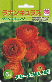 楽天市場 ラナンキュラス 球根の通販