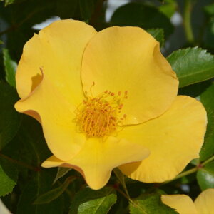 \̔ oc oc T IGeBX pԓ`R io^o蒆 lG炫 KN ΂   hao 2{ȍ~